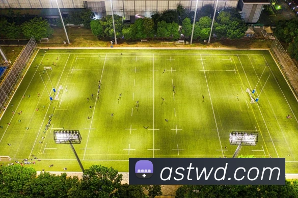 问鼎28平台生态图