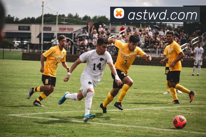 问鼎28APP 封面图